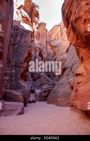 Alte e strette pareti del canyon con strati di arenaria rossa e arancione che si innalzano verso il cielo luminoso sopra il fondo sabbioso del canyon Foto Stock