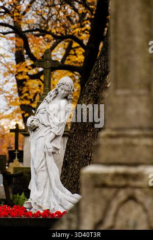 Statua di angelo in marmo al cimitero di Powązki, circondata da alberi autunnali. Foto Stock