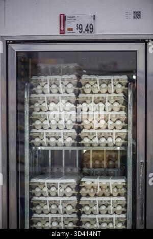 Uova esposte in un frigorifero del supermercato a Orlando, Florida, con il prezzo indicato Foto Stock