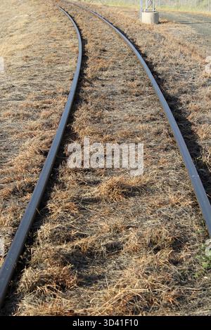 Primo piano dei binari ferroviari ricoperti di erba marrone secca Foto Stock