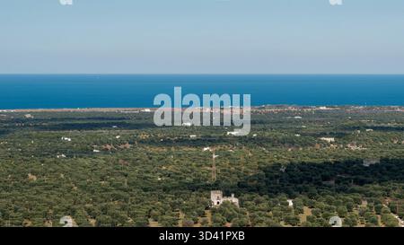 Vista aerea della campagna costiera con Green Fields e Distant Sea Horizon Foto Stock