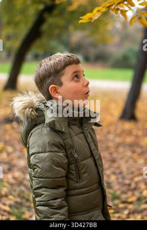 Ritratto verticale di un ragazzo che indossa una calda giacca verde in piedi in un parco autunnale e guarda in alto con un'espressione sorpreso. Foto Stock