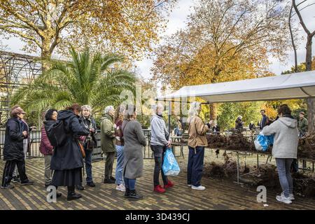 AMSTERDAM - la fondazione Healthy City sta distribuendo alberi liberi ai residenti. Gli abitanti di Amsterdam che piantano un albero contribuiscono a rendere la città più verde e più fresca. ANP / Hollandse Hoogte / Dingena mol netherlands Out - belgium Out Foto Stock