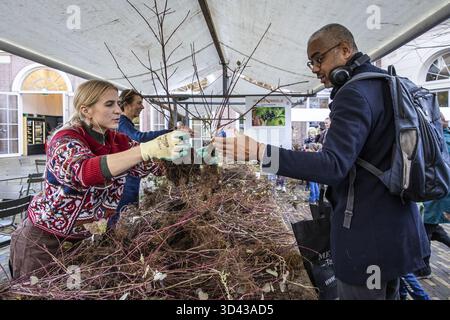 AMSTERDAM - la fondazione Healthy City sta distribuendo alberi liberi ai residenti. Gli abitanti di Amsterdam che piantano un albero contribuiscono a rendere la città più verde e più fresca. ANP / Hollandse Hoogte / Dingena mol netherlands Out - belgium Out Foto Stock