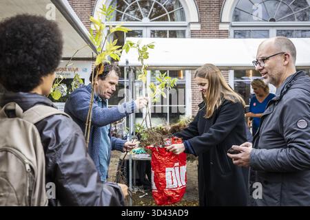 AMSTERDAM - la fondazione Healthy City sta distribuendo alberi liberi ai residenti. Gli abitanti di Amsterdam che piantano un albero contribuiscono a rendere la città più verde e più fresca. ANP / Hollandse Hoogte / Dingena mol netherlands Out - belgium Out Foto Stock