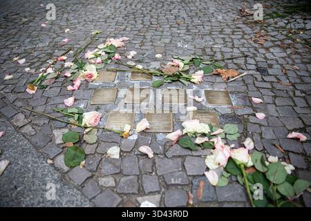 Berlino, Germania. 8 novembre 2025. Fiori freschi riposano accanto a Stolpersteine sulla Giesebrechtstrasse nel quartiere Charlottenburg di Berlino l'8 novembre 2025, in vista dell'anniversario della Kristallnacht. Le targhe di ottone commemorano i residenti ebrei che furono deportati e uccisi durante l'Olocausto. Il semplice gesto del ricordo aggiunge colore e tenerezza al freddo marciapiede, simboleggiando l'impegno duraturo della città per confrontarsi con il suo passato. (Foto di Michael Kuenne/PRESSCOV/Sipa USA) credito: SIPA USA/Alamy Live News Foto Stock