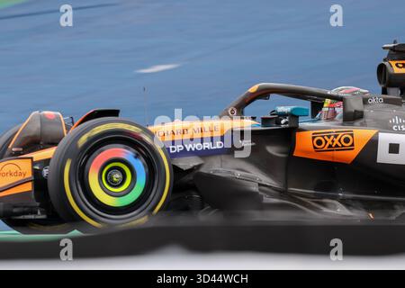San Paolo, BRA. 11/08/2025. Oscar Piastri dell'Australia alla guida del (81) McLaren F1 Team MCL39 Mercedes, durante la Formula 1 MSC Cruises grande Premio De Sao Paulo 2025. Crediti: Alessio Morgese / Alamy live news Foto Stock