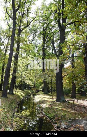 Bellissimo parco autunnale con un piccolo fiume e alberi gialli. Alberi autunnali nel parco cittadino. Foto Stock