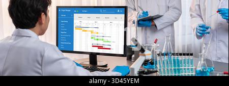 Software di pianificazione dei progetti per la gestione dei progetti aziendali sullo schermo del computer che mostra il grafico della cronologia del progetto del team Foto Stock
