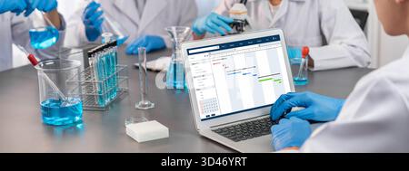 Software di pianificazione dei progetti per la gestione dei progetti aziendali sullo schermo del computer che mostra il grafico della cronologia del progetto del team Foto Stock