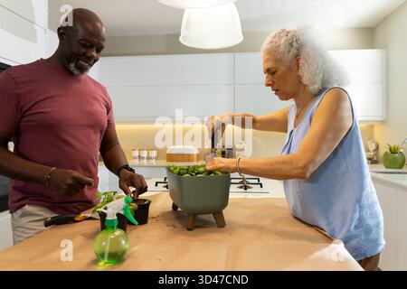 Diverse piante da vaso per coppie senior in una cucina moderna e luminosa, con cazzuola e flacone spray Foto Stock