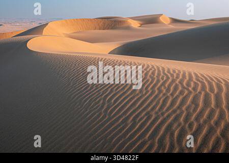 Doha, Qatar - Un vasto paesaggio desertico con dune di sabbia dorata che si estendono all'orizzonte, morbide texture soffiate dal vento sulla sabbia, Inlan Foto Stock