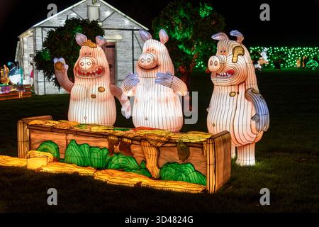 Longleat, Wiltshire, Regno Unito. 8 novembre 2025. Gigantesche lanterne cinesi illuminate raffiguranti i personaggi di Wallace e Gromit che visitano i simboli del Regno Unito sono esposte all'annuale Festival of Light di Longleat nel Wiltshire. Il festival celebrerà anche la fauna selvatica britannica e i famosi cantanti nel corso dei decenni. Il Festival della luce si svolgerà in date selezionate dall'8 novembre 2025 all'11 gennaio 2026. Crediti: Alison Eckett / Alamy Live News Foto Stock