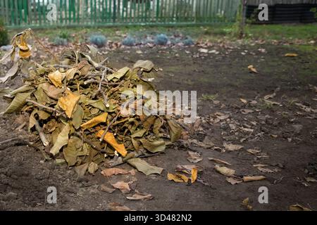Mucchio di foglie secche e rami raccolti in giardino durante la pulizia autunnale Foto Stock
