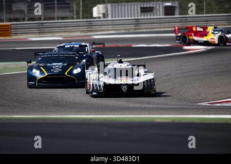 94 CASSIDY Nick (nzl), JAKOBSEN Malthe (dnk), Peugeot TotalEnergies, Peugeot 9X8 #94, Hypercar, azione durante le 8 ore del Bahrain 2025, ottavo round del Campionato Mondiale Endurance 2025 FIA, dal 6 all'8 novembre 2025 sul circuito Internazionale del Bahrain a Sakhir, in Bahrain Foto Stock