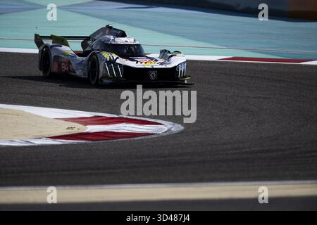 94 CASSIDY Nick (nzl), JAKOBSEN Malthe (dnk), Peugeot TotalEnergies, Peugeot 9X8 #94, Hypercar, azione durante le 8 ore del Bahrain 2025, ottavo round del Campionato Mondiale Endurance 2025 FIA, dal 6 all'8 novembre 2025 sul circuito Internazionale del Bahrain a Sakhir, in Bahrain Foto Stock
