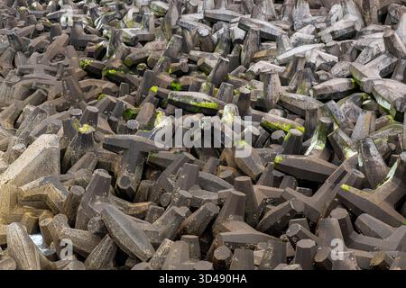 Interfacciamento di difese marittime in cemento con macchie di alghe verdi Foto Stock
