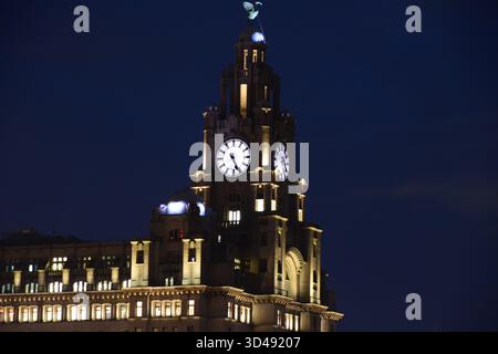 Edificio del fegato di notte Foto Stock