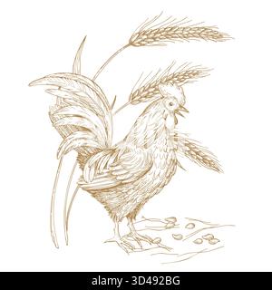 Composizione del gallo beige contornante vicino al grano e ai semi. Illustrazione realizzata a mano in stile inchiostro vettoriale. Per il design dell'imballaggio, le schede, la copertina Illustrazione Vettoriale