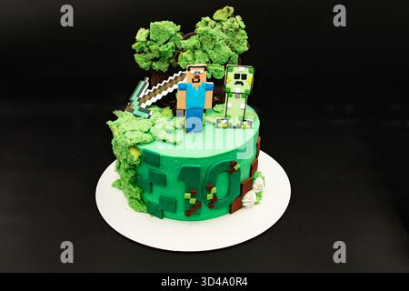 Torta di compleanno a tema Minecraft fotografata l'8 novembre 2025 a Poltava in Ucraina per l'evento celebrativo Foto Stock