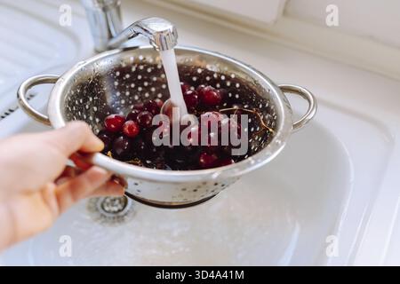 Donna lavare le mani grappolo di uva rossa nel colino sotto l'acqua corrente dal rubinetto della cucina Foto Stock