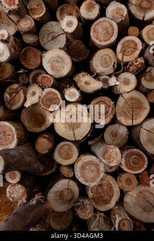 Tronchi di varie dimensioni e sfumature di marrone sono impilati in modo ordinato, formando uno sfondo rustico e naturale con anelli annuali visibili Foto Stock