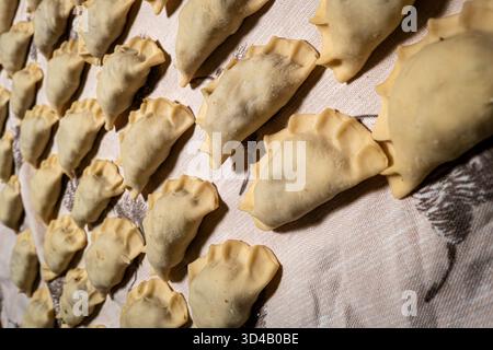 Pierogi lucidi, polpette fatte in casa disposte in modo ordinato su una superficie in tessuto. Piatto tradizionale regionale. Funghi, cavolo. Foto Stock