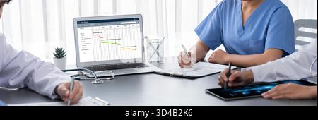 Software di pianificazione dei progetti per la gestione dei progetti aziendali sullo schermo del computer che mostra il grafico della cronologia del progetto del team Foto Stock