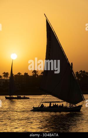 Le feluche navigano al tramonto sul Nilo vicino ad Assuan, Egitto Foto Stock