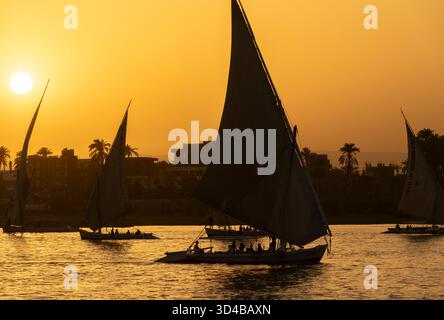 Le feluche navigano al tramonto sul Nilo vicino ad Assuan, Egitto Foto Stock