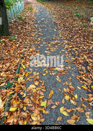 Percorso autunnale ricoperto di foglie gialle cadute in un parco inglese Foto Stock