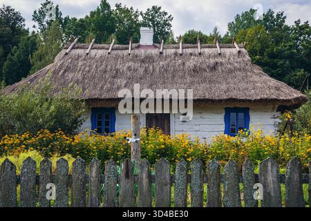 Facciata del cottage rurale storico in legno nel villaggio di Budy, regione di Podlasie in Polonia Foto Stock