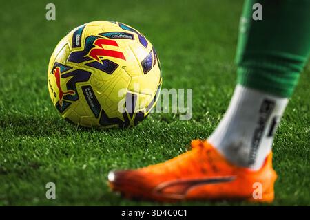 Madrid, Espagne. 9 novembre 2025. Illustrazione del pallone durante il campionato spagnolo di calcio LaLiga tra Rayo Vallecano e Real Madrid CF il 9 novembre 2025 all'Estadio de Vallecas di Madrid, Spagna - foto Alexandre Martins/DPPI credito: DPPI Media/Alamy Live News Foto Stock