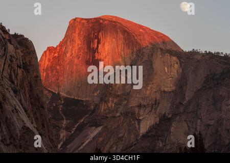 Vista a nord-ovest della faccia verticale di Half Dome al crepuscolo, vista dalla valle di Yosemite sotto un cielo limpido con la luna che si innalza. Foto Stock