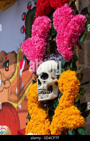 Un teschio è posto al centro di una disposizione floreale, circondato da fiori rosa e arancio. La tradizione messicana del giorno dei morti, offerte, cibo, co Foto Stock