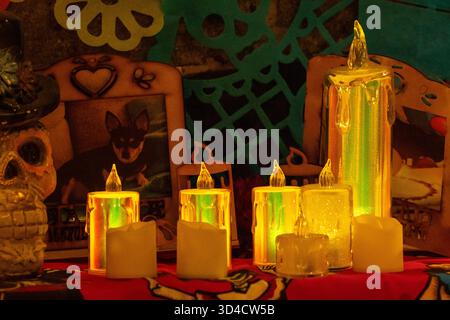 Un tavolo con le candele e un'immagine del cane. Le candele sono accese e l'immagine del cane è sullo sfondo. Giorno messicano della tradizione dei morti, offerte, per Foto Stock