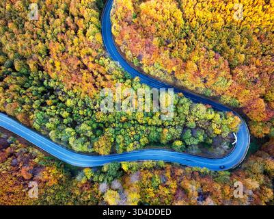 Vista aerea di una strada in mezzo alla foresta Foto Stock