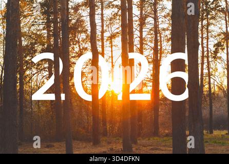 2025 dietro gli alberi nel parco durante il tramonto. Foto Stock