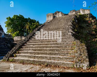 Acropoli Nord, Tikal, Dipartimento di Peten, Guatemala Foto Stock