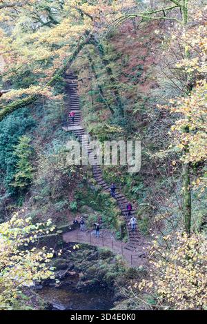 A pochi passi dalla cascata Aira Force nel Lake District Foto Stock