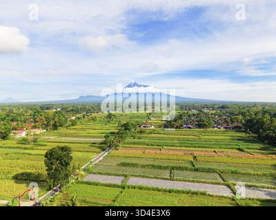 Vista aerea di verdeggianti risaie e lussureggiante vegetazione che si estende verso il maestoso Monte Merapi avvolto da nuvole, Klaten Regency, Central Java, in Foto Stock