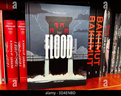 Kiev, Ucraina - 10 novembre 2025: Copertina drammatica con The Flood di Yevhen LYR, che mette in evidenza la storia Ucraina e i temi delle inondazioni. Foto Stock