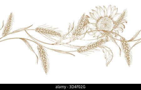 Bordo senza cuciture di grano e girasole. Illustrazione realizzata a mano in stile inchiostro vettoriale. Per il design dell'imballaggio, le schede, la copertina, le stampe, le etichette dei prodotti e il tessuto Illustrazione Vettoriale