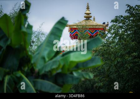 La vista della guglia dorata del tempio Kyichu Lhakhang sbircia fuori dal lussureggiante verde vegetale in un tranquillo paesaggio, Paro, Bhutan. Foto Stock