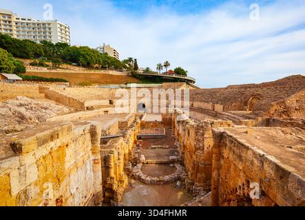 L'anfiteatro di Tarragona è un anfiteatro romano situato nella città di Tarragona, nella regione della Catalogna, in Spagna. Foto Stock