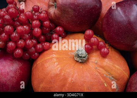 Zucche, mele e bacche di viburnum in autunno natura morta, tema della raccolta biologica Foto Stock