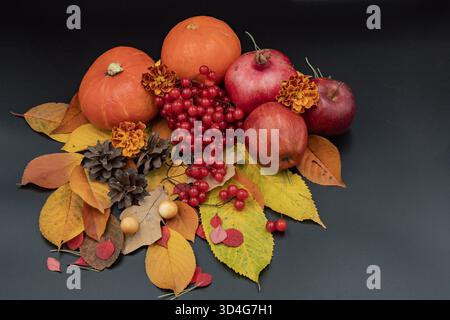 Natura morta autunnale con zucca, mele, melograno, bacche di viburnum e foglie autunnali su sfondo scuro Foto Stock