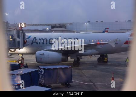 SAVANNAH, GEORGIA, USA, 9 NOVEMBRE 2025: L'ala e la fusoliera di un aereo dell'American Airlines sono visibili attraverso un finestrino passeggeri come l'aereo i. Foto Stock