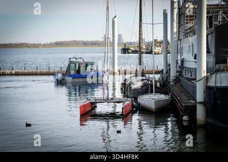 Kinrooi, Belgio. 10 novembre 2025. Una nave della polizia fotografata durante un'azione di ricerca della polizia e dell'unità delle persone scomparse nel lago Maasplassen, lunedì 10 novembre 2025. Domenica 10 novembre, in serata, i servizi di soccorso sono stati chiamati per una barca affondata nel lago Maasplassen, a Kinrooi. Sono state trovate due persone e si sono recate in ospedale. Le ricerche per la terza persona scomparsa ricominciano questo lunedì mattina BELGA FOTO JILL DELSAUX credito: Belga News Agency/Alamy Live News Foto Stock
