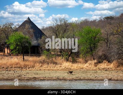 Capanna africana con tetto di paglia sulla riva della diga del lago sulla collina, cielo blu nuvoloso Foto Stock